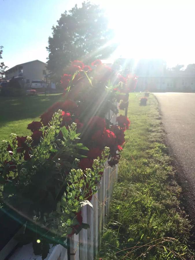 Fair Isle Charlottetown
